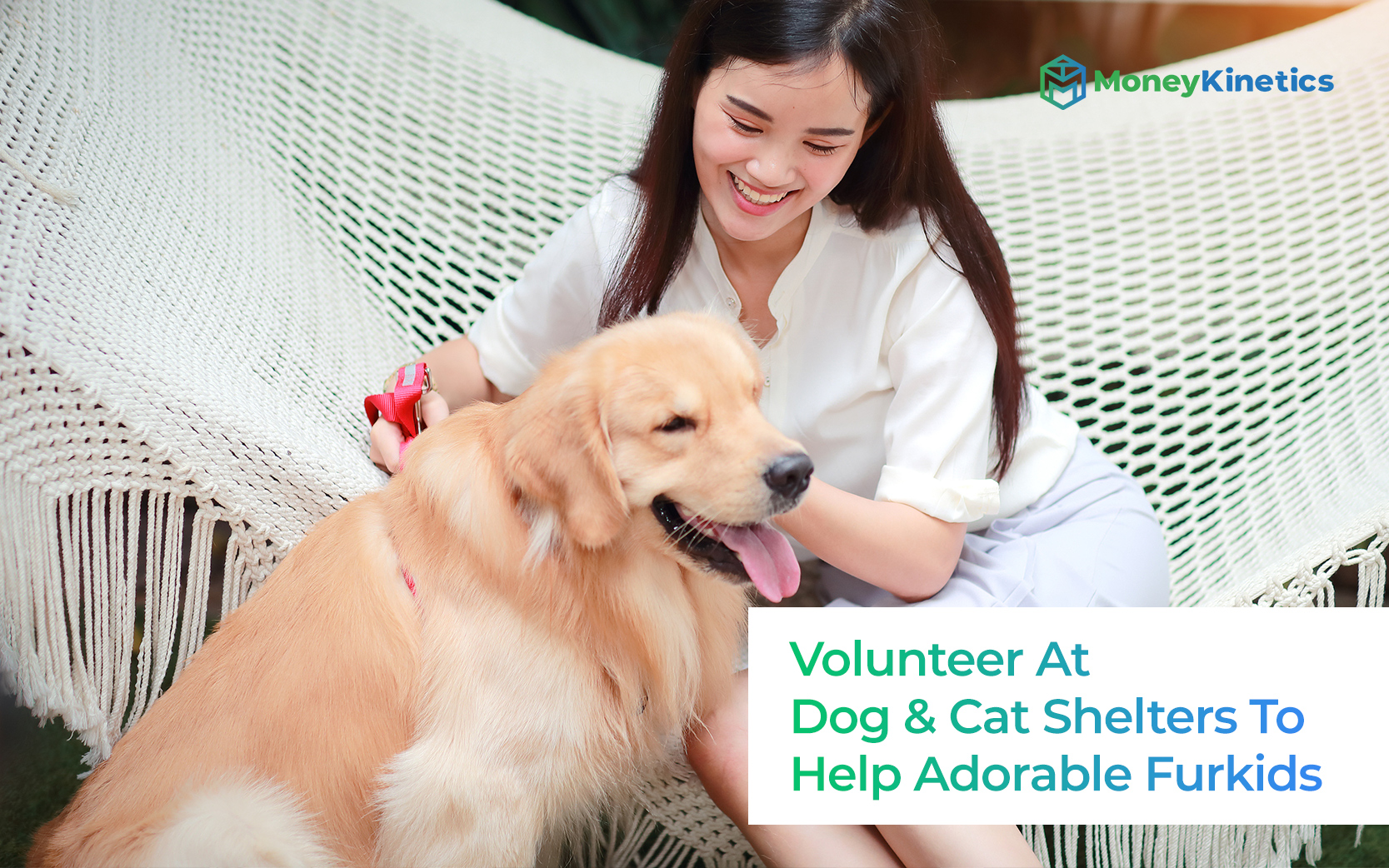 9 Dog And Cat Shelters You Can Volunteer At To Help Adorable Furkids In Singapore